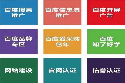 百度推广的投放策略与效果分析